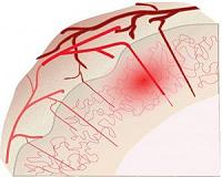Brain syncs blood flow to match activities
