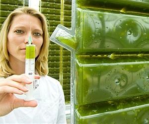 Algal Biomass Organization Hails Passage Of HR 4168