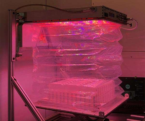 NASA tests ways to reduce stress in plants growing in space