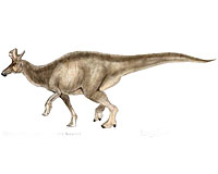 New Dinosaur From Mexico Offers Insights Into Ancient Wild West