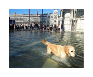 Venice to suffer fewer storm surges