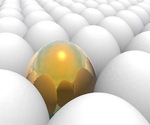 China exchange hatches plan for egg futures