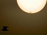 Venus: Inhabited World?