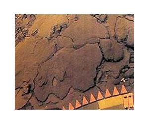 NASA Debunks Life on Venus Claim