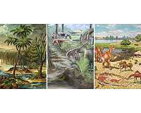 Diversity on land is not higher today than in the past