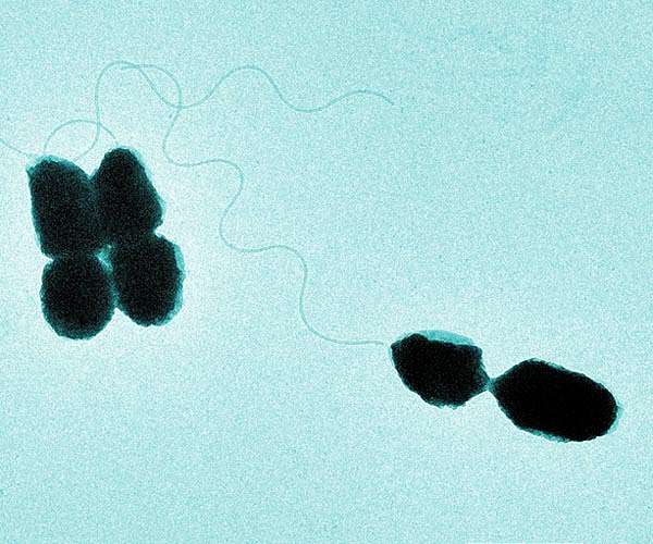 Basis for next-gen bioprocesses