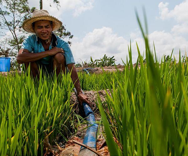Vietnam farmers planting in the dark as heatwave looms