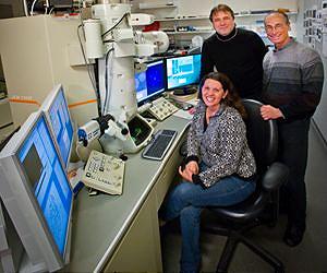 Better Organic Electronics