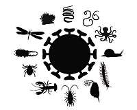 World of viruses uncovered