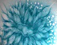 What Came First: Viruses Or Cells