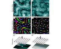 Scientists find ordered magnetic patterns in disordered magnetic material