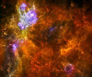 Hunting high-mass stars with Herschel