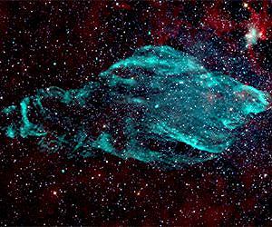 A Microquasar Makes a Giant Manatee Nebula