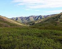 Soil could become significant CO2 contributor in near future: Study