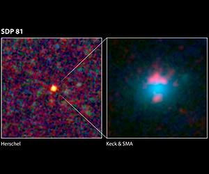 Herschel's Hidden Talent: Digging Up Magnified Galaxies