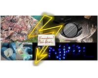 Fish 'biowaste' converted to piezoelectric energy harvesters