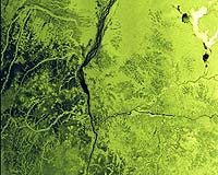 Tiger Workshop Puts Focus On Space For African Water Management