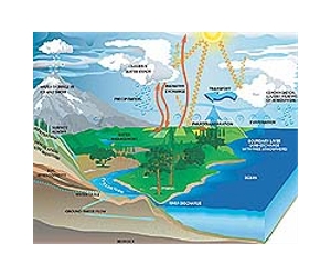 Unaccounted Ecosystem Change Feedbacks May Increase Future Climate Warming