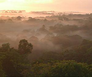 Researchers question evaluation methods for protected areas in the Amazon