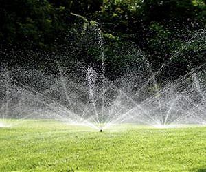 Water, rest, water, save
