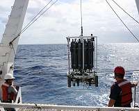 Newly discovered phytoplankton groups appear to favor warmer oceans