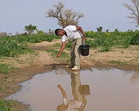 How To Fight Malaria By Changing The Environment