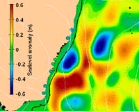 A Cold-Water Monster Current Off Sydney