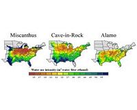 Best regions for growing bioenergy crops identified