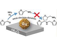 Reusable ruthenium-based catalyst could be a game-changer for the biomass industry