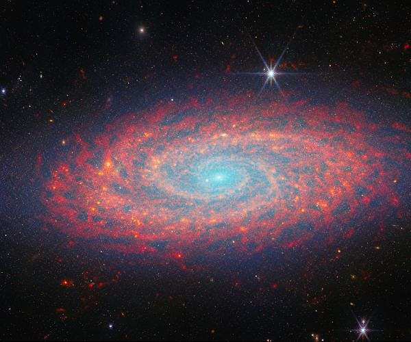 Webb highlights spiral arms of galaxy NGC 2090 in infrared detail