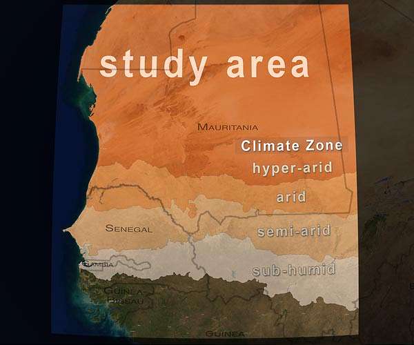 Tree count in Africa drylands could improve conservation: study