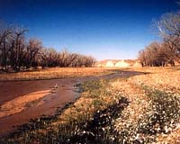 Acid Rain An Unlikely Ally In Battle Against Climate Change