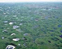 Rethinking wetland restoration: Smaller wetlands more valuable than previously thought