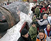 Demand For Whale Meat Declining In Japan