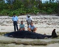 Seychelles designates huge new marine reserve