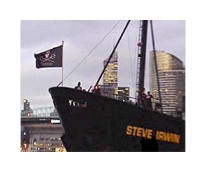 Sea Shepherd ready for aggression from Japan whalers