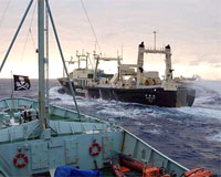 Activists use 'stink bombs' to harass Japanese whalers
