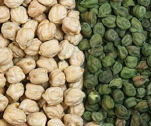 Global research team decodes genome sequence of 90 chickpea lines