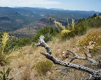Mountain environments more vulnerable to climate change than previously reported