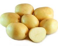 Dutch saltwater potatoes offer hope for world's hungry