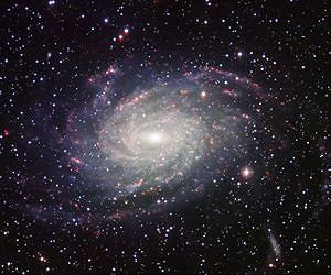 A Postcard from Extragalactic Space