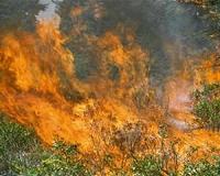 Parts of Alberta oil industry returning to normal after wildfire
