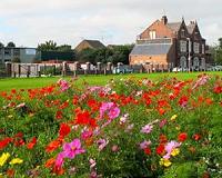 Britain 'turning grey' as gardens paved over