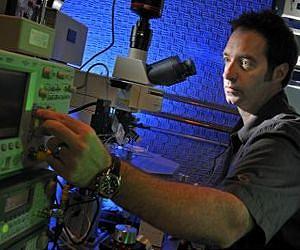 Ultrasound directed to the human brain can boost sensory performance