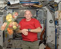 Future interplanetary spacecraft to be equipped with 'plantations'