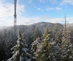 Time of Year Important in Projections of Climate Change Effects on Ecosystems