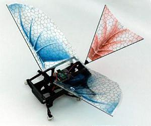 Robotic bug gets wings, sheds light on evolution of flight