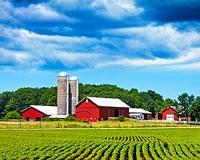 Study of US farm data shows loss of crop diversity