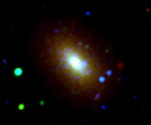 Galaxy Growth Examined Like Rings of a Tree