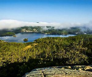 Wolf Lake Ancient Forest Is Endangered Ecosystem